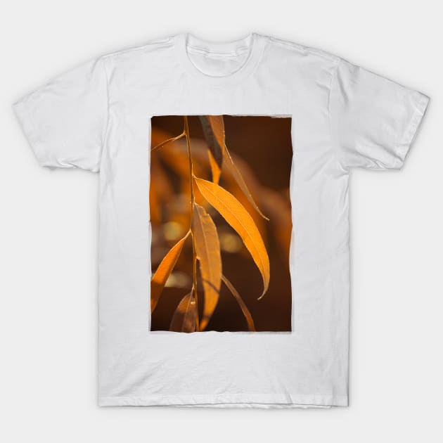 Autumn Leaves T-Shirt by cinema4design